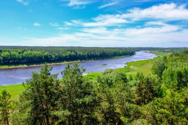 temiz su ve su çimen, bents ve yeşil yeşillik forest yakınındaki göl kenarında sakin yaz günü göster