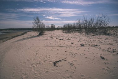 boş deniz plaj bazı kuşlar ve kargo ile bahar ufukta gemi. mavi gökyüzü, bulutlar - vintage bir retro görünüm