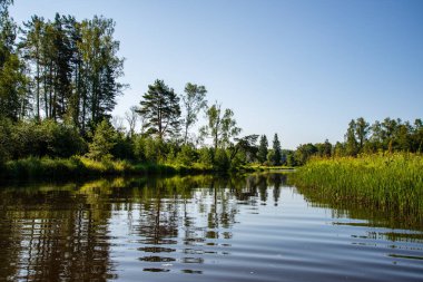yaz günü suda kumtaşı kayalıklarla ve kuru ağaç ormanları içine Nehri sakin. karanlık su nehir Brasla, Letonya