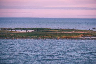 panoramik deniz plaj kayalar, bitkiler ve temiz su ile yaz aylarında güneşli gün - vintage bir retro görünüm görünümünde