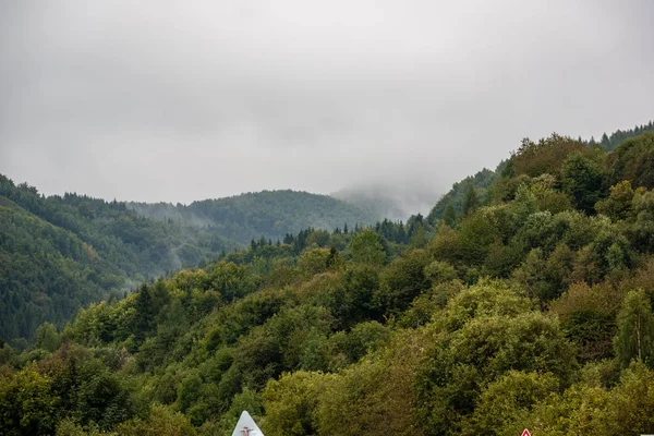 Vista Del Bosque Brumoso Las Montañas Tatra Eslovaquia — Foto de Stock