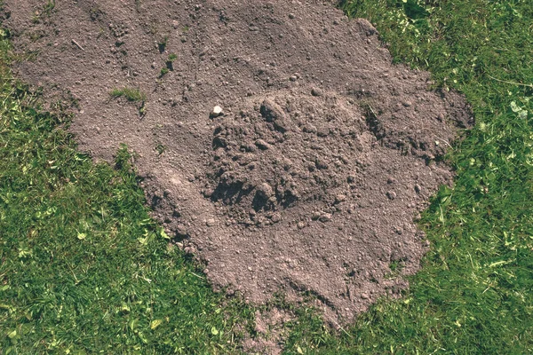 Abstrakte Textur Sandmuster Der Nähe Von Gewässern Mit Einigen Pflanzen — Stockfoto