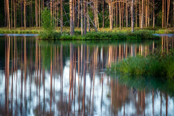 Soleil Fin Soirée Sur Les Lacs Marécageux Été Reflets Eau — Photo