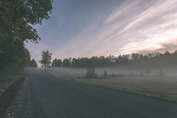 雾蒙蒙的乡村道路在秋天与雾和沥青 — 图库照片