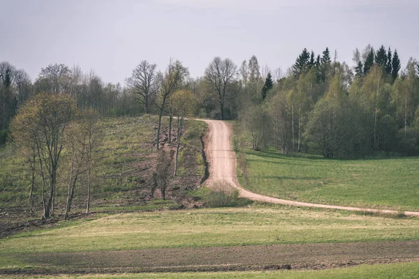 Semplice Strada Forestale Campagna Prospettiva Con Fogliame Alberi Intorno Look — Foto Stock