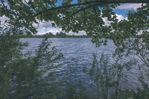 きれいな水と水草 Bents 森林近くの緑の葉と湖 穏やかな夏の日を表示します — ストック写真
