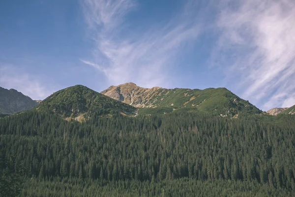 Bewölkt Und Neblig Slowakische Westkarpaten Tatra Skyline Bedeckt Mit Wäldern — Stockfoto