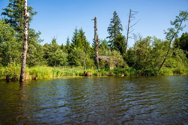 Giornata Estiva Sull Acqua Fiume Calmo Racchiuso Foreste Con Scogliere — Foto Stock