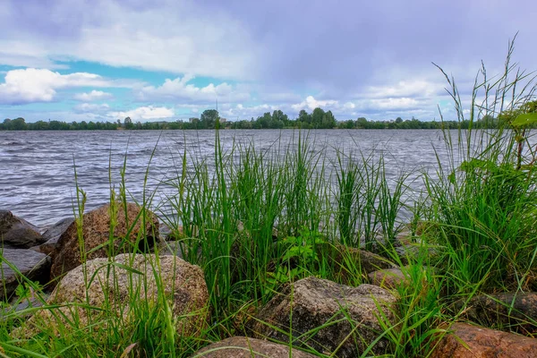 Спокойный Летний Вид Озеро Чистой Водой Травой Изгибы Зеленая Листва — стоковое фото