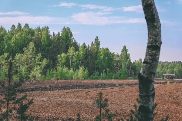 Vista Del Paisaje Zona Del Pantano Con Pinos Solitarios Campos —  Fotos de Stock