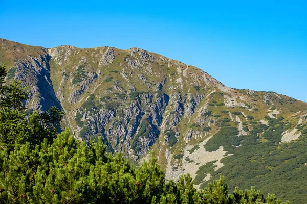 Μακρινό Βουνό Πυρήνων Ομίχλη Στη Σλοβακία Tatra Ορεινά Μονοπάτια Καθαρά — Φωτογραφία Αρχείου