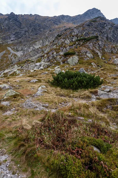 Sentieri Escursionistici Slovacchia Montagne Tatra Vicino Lago Montagna Rohache — Foto Stock