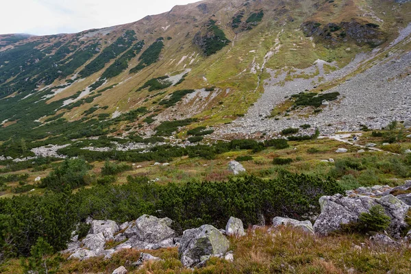 Διαδρομές Πεζοπορίας Στη Σλοβακία Βουνά Τάτρα Κοντά Στο Βουνό Λίμνη — Φωτογραφία Αρχείου