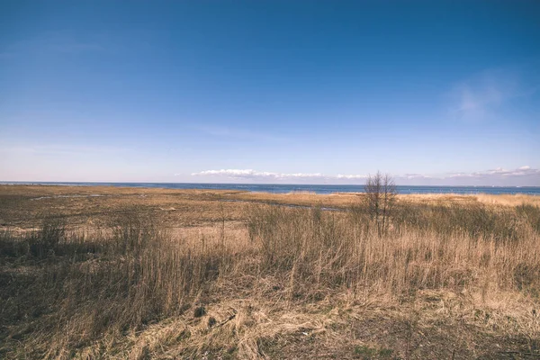 Çim Finlandiya Kuru Ağaçlar Kayalık Sahil Şeridine Görünümünü — Stok fotoğraf