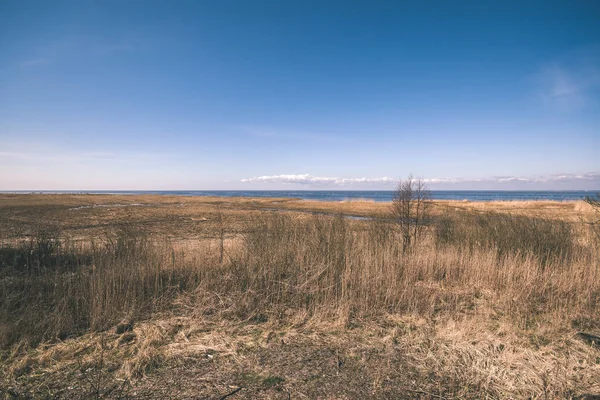 Pohled Skalnaté Pobřeží Trávou Suché Stromy Finsku — Stock fotografie