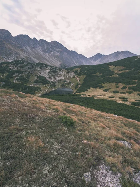 Sentiers Randonnée Slovaquie Montagnes Tatra Près Lac Montagne Rohache — Photo