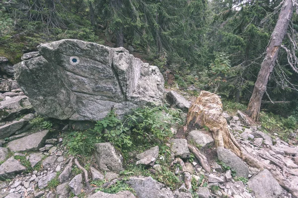 등산로에서 슬로바키아 타트라 Tatra Rohache — 스톡 사진