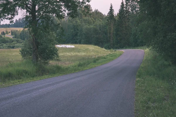 Enkla Landsbygden Skogsväg Perspektiv Med Bladverk Och Träd Runt Vintage — Stockfoto