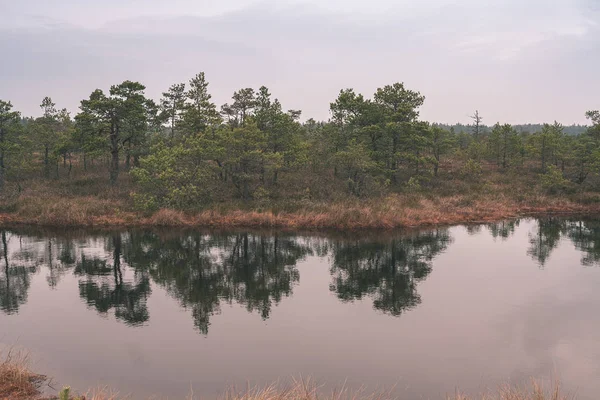 Natuurlijke Lichaam Van Water Vijver Met Reflecties Van Bomen Wolken — Stockfoto