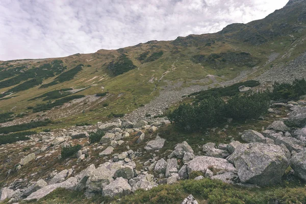 Sentieri Escursionistici Slovacchia Montagne Tatra Vicino Lago Montagna Rohache — Foto Stock