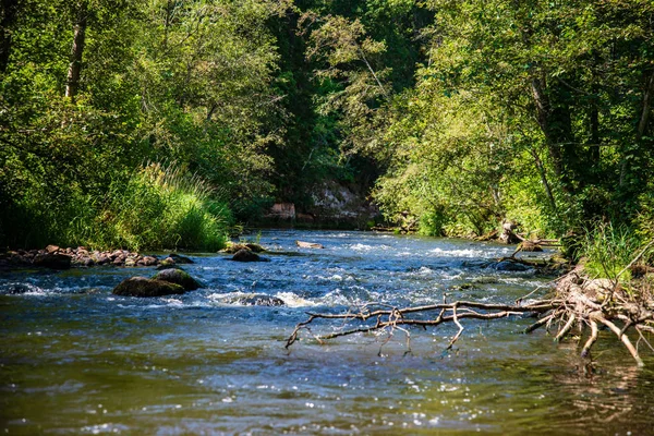 Sommertag Auf Dem Wasser Ruhigem Fluss Umgeben Von Wäldern Mit — Stockfoto