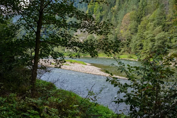 Río Agua Verde Detrás Los Árboles Verano Dunajec Eslovaquia — Foto de Stock