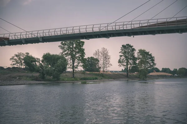 Houten Composiet Materiaal Voet Brug Water Een Groene Zomer Bos — Stockfoto