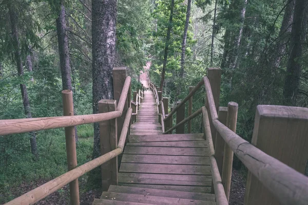 Деревянный Композитный Материал Пешеходный Мост Через Воду Зеленой Летней Лесной — стоковое фото