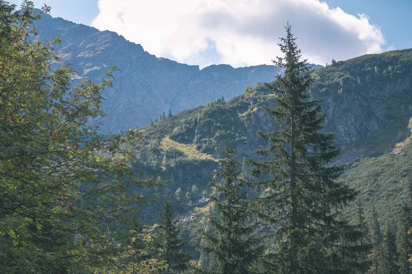 Západní Karpaty Jasného Dne Tatra Turistické Stezky — Stock fotografie