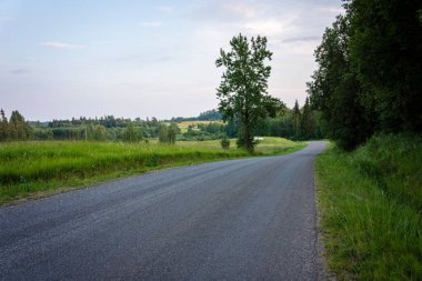 yapraklar ve ağaçlar etrafında ile perspektif içinde basit kırsal orman yolu