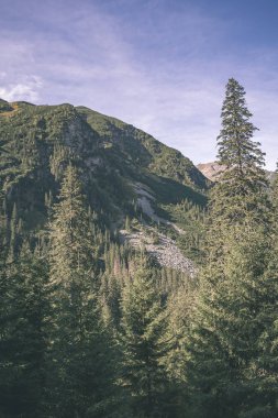 erken sonbahar renkleri - vintage bir retro görünüm içinde ağaçlar ve ormanlar ile kaplı bulutlu ve sisli Slovakça Western Karpat Tatra dağ manzarası