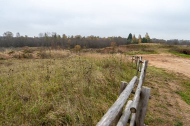 eski ahşap tahta boardwalk iz sonbahar renkli doğada su yakın bataklık alanda