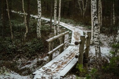 Ahşap tahta patika boardwalk bataklık alan rekreasyon turistler için. Çam ağaçları çıkmaza sokmak ve ilk kış öğleden sonra hafif kar.