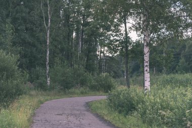 yapraklar ve ağaçlar çevresinde - vintage bir retro görünüm ile perspektif içinde basit kırsal orman yolu