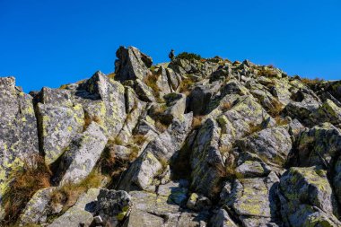 Uzak dağ çekirdek Slovakya'da Tatra mountain parkurları mavi gökyüzü ve yeşil bitki örtüsü ile açık sonbahar günü sis