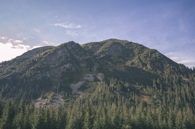 erken sonbahar renkleri - vintage bir retro görünüm içinde ağaçlar ve ormanlar ile kaplı bulutlu ve sisli Slovakça Western Karpat Tatra dağ manzarası
