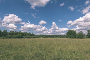 kabarık bulutlar ile mavi gökyüzü altında doğal yeşil alan