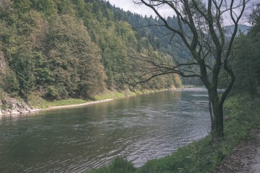 Yeşil su Nehri yaz aylarında ağaçların arkasında. Dunajec, Slovakya - vintage bir retro görünüm
