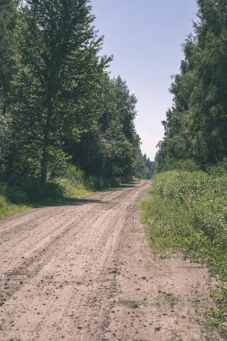 yapraklar ve ağaçlar çevresinde - vintage bir retro görünüm ile perspektif içinde basit kırsal orman yolu