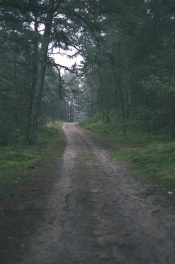 yapraklar ve ağaçlar çevresinde - vintage bir retro görünüm ile perspektif içinde basit kırsal orman yolu