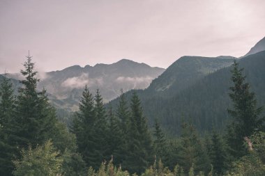 erken sonbahar renkleri - vintage bir retro görünüm içinde ağaçlar ve ormanlar ile kaplı bulutlu ve sisli Slovakça Western Karpat Tatra dağ manzarası