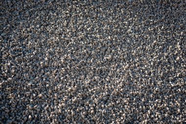 Bazı bitkiler ile su vücut yakınındaki Soyut doku kum desen 