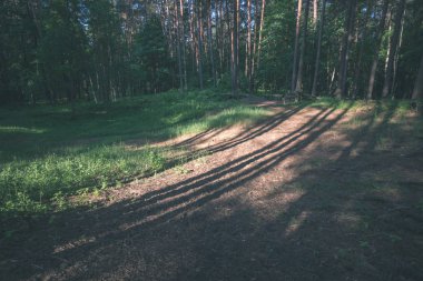 yapraklar ve ağaçlar çevresinde - vintage bir retro görünüm ile perspektif içinde basit kırsal orman yolu