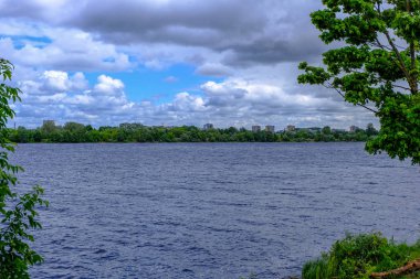 temiz su ve su çimen, bents ve yeşil yeşillik forest yakınındaki göl kenarında sakin yaz günü göster