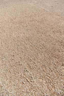 Bazı bitkiler ile su vücut yakınındaki Soyut doku kum desen 