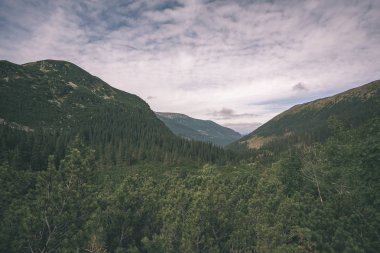 erken sonbahar renkleri - vintage bir retro görünüm içinde ağaçlar ve ormanlar ile kaplı bulutlu ve sisli Slovakça Western Karpat Tatra dağ manzarası