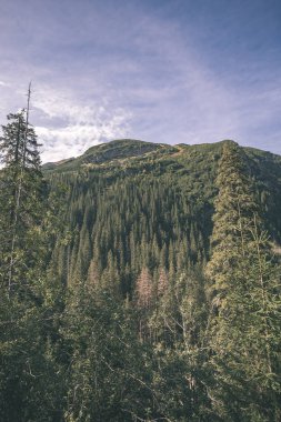 erken sonbahar renkleri - vintage bir retro görünüm içinde ağaçlar ve ormanlar ile kaplı bulutlu ve sisli Slovakça Western Karpat Tatra dağ manzarası