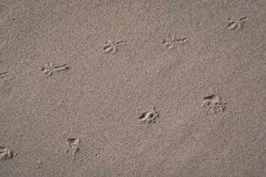 Soyut doku kum desen yakınındaki su vücut ile bazı bitkiler - retro vintage bak