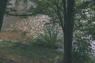 doğal vücut su. Gölet yansımaları, ağaç ve sakin su yüzeyi - vintage bir retro görünüm bulutlarda ile.