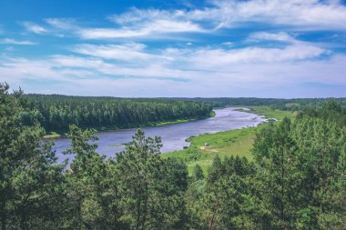 temiz su ve su çimen, bents ve yeşil yeşillik forest - vintage bir retro görünüm yakınındaki göl kenarında sakin yaz günü göster